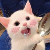糖分略高