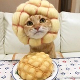 角落