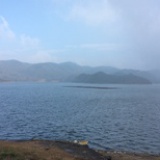 清清
