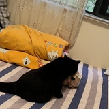 yuugyoku