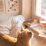 一颗胖瓜子