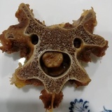 虾米蛋