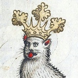 中世纪的猫