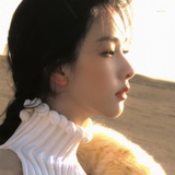 宿禾vi小葵