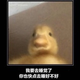 工具人2567