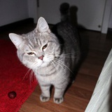 zita'