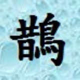 飛天小喜鵲
