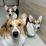 玺玺闲读