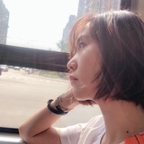 飞来飞去的菲菲