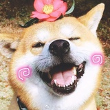 Nana