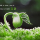 匆匆过客