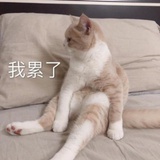 在线溺爱