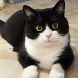 凯瑟琳公主
