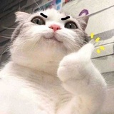 朱哼哼
