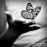 弋瞳