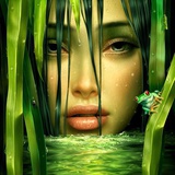 怎没老是你