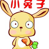 心想事成的兔叽