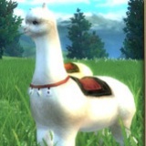 阿吉