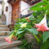 Luofeng-