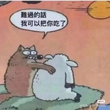 揪揪