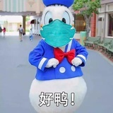 脑子不要钱