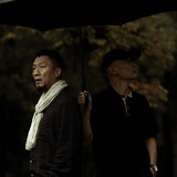 赫尔辛基熊