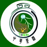 深山古茶