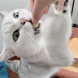冷落
