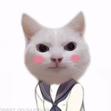 弹跳糖