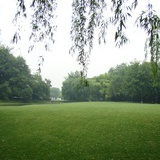 含