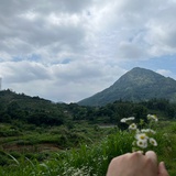 23点