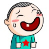 小狮子