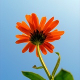 sun.e