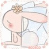 鱼儿