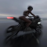 野生大和