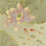 Sandra桑德拉
