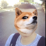 暴走呆萌君