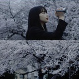 白露为霜