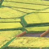 等