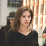 杰克罗素梗
