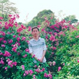 随机漫步