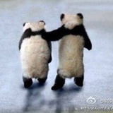 像少年啦飞驰