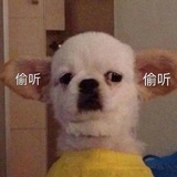 给我听听