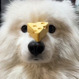 默成🦌