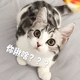 倚栏听风