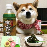 如生花夏