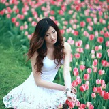 化蝶
