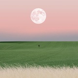 小蝙是也