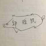 Zjk