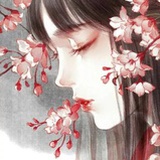 柒柒